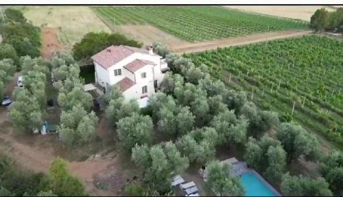 Pian di Rocca House | Agriturismo mare natura