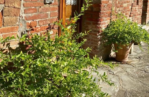Ferretto Apartment | Agriturismo "agrocentorio" Tuscany private villa