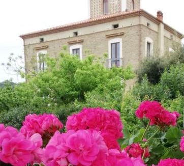 Ceraso House | Agriturismo CapoCasale