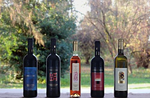 Faenza House | Agriturismo Gallegati
