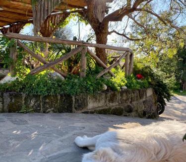 Piano di Sorrento House | Agriturismo L'Olivara
