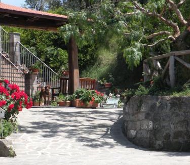 Piano di Sorrento House | Agriturismo L'Olivara