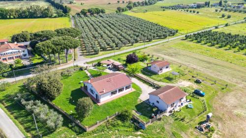 Grosseto House | Agriturismo Mimosa