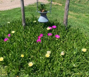 Grosseto House | Agriturismo Mimosa