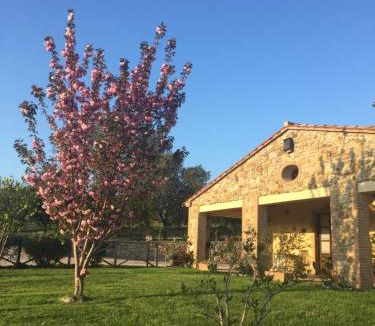 Roccalbegna House | Agriturismo Podere Micitto