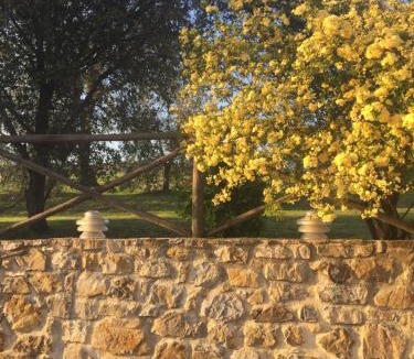 Roccalbegna House | Agriturismo Podere Micitto
