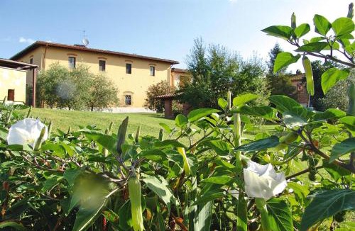 Vinci Apartment | Agriturismo Poggio al Sole, Vinci