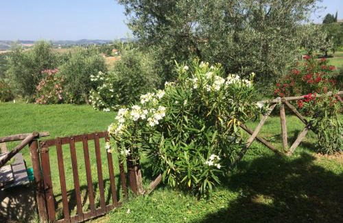 Pietrauta House | Agriturismo San Marco