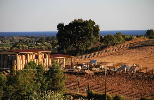 Capalbio House | Agriturismo San Mauro