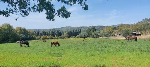 Orbetello Apartment | Agriturismo Tenuta Il Solengo
