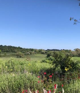 Noto House | Aguglia Persa - Double Room