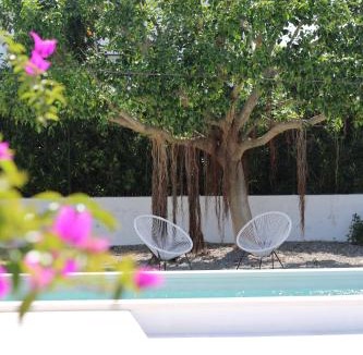 Fasano House | AllaTorretta23