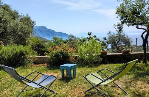 Colli di Fontanelle House | Amalfi Coast, Positano, Sorrento, Capri, Garden, Villa Carcara