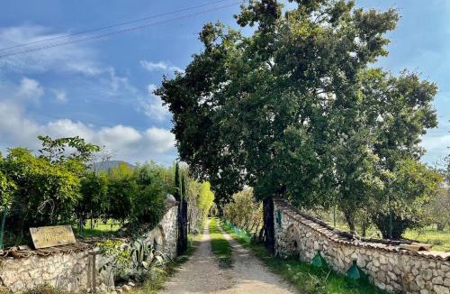 Norma Apartment | Ancient Norba's House, Norma - Casa dell' Antica Norba, Norma