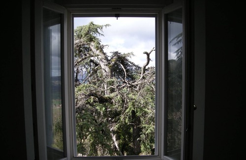 Todi Apartment | Angela's House on the Ancient Walls of Todi for 2/4 people