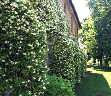 Bomarzo Villa | antica Villa con Giardino