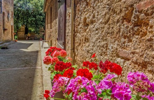 Simignano Apartment | Apartment Il Castagno in Sovicille - 4 persons, 2 bedrooms