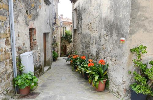 Cannicchio Apartment | Appartamenti Le Giare Cannicchio