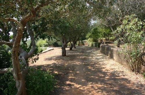 Marina Serra Apartment | Appartamento in Villa Fortunata TERRA