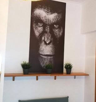 Quartiere XXXIV Lido di Ostia Levante House | Appartamento Jungle Beach