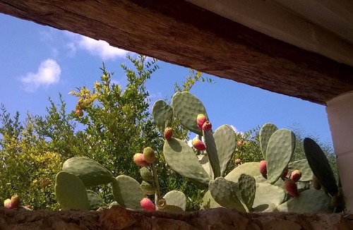 Ostuni Cottage | Aurasia - Trullo grandmother Tina