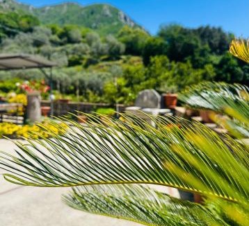 Faicchio Bed & Breakfast | Azienda Agrituristica Marenna