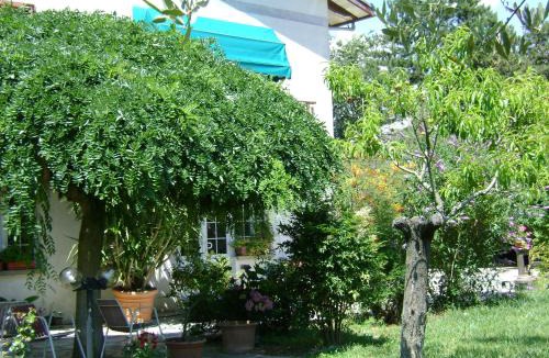 Spello Bed & Breakfast | B&B La Mimosa