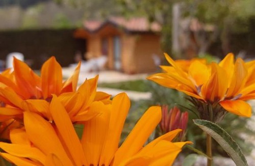 Conco Bed & Breakfast | B&B Stella Alpina