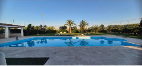 Cerignola Bed & Breakfast | B&B Uliveto