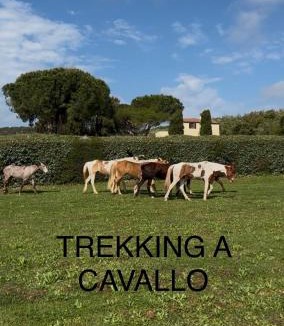Orbetello Bed & Breakfast | B&B VALLE D'ORO