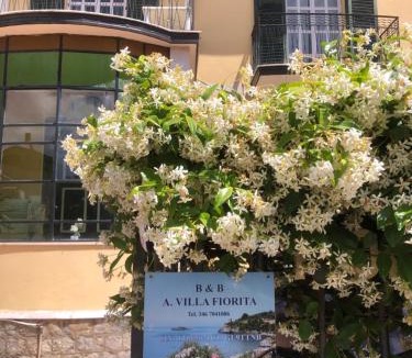 Marina Di Camerota Bed & Breakfast | B&B Villa Fiorita