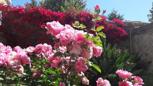 Sant'Agnello Bed & Breakfast | Back to Sorrento