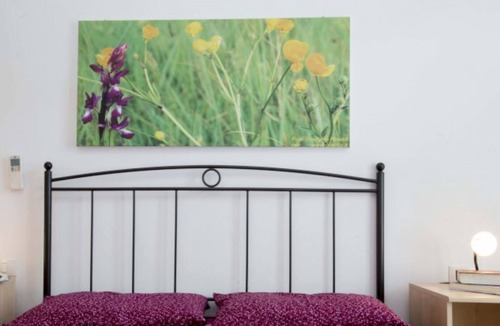 Porto Azzurro Apartment | Ballerine 2 New apartment in a quiet residential area in Porto Azzurro