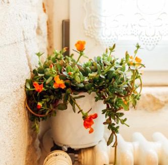 Martina Franca Apartment | Barocco Art House
