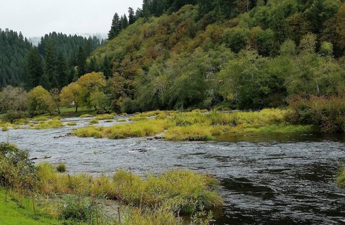 Mapleton House | Beautiful two bedroom one bath house overlooking the Siuslaw river.
