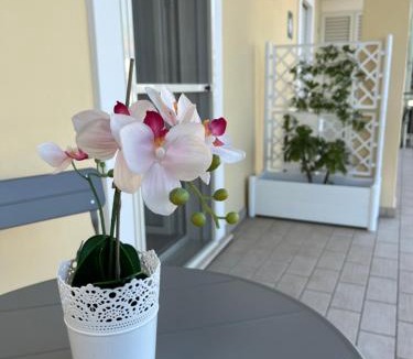 Fondi Bed & Breakfast | Bed&Breakfast del viaggiatore