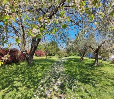 Formello Apartment | Bed & Breakfast Parco di Veio
