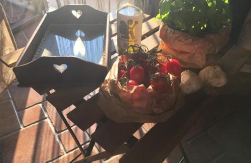 Centola Apartment | Belvedere Experience Apartment