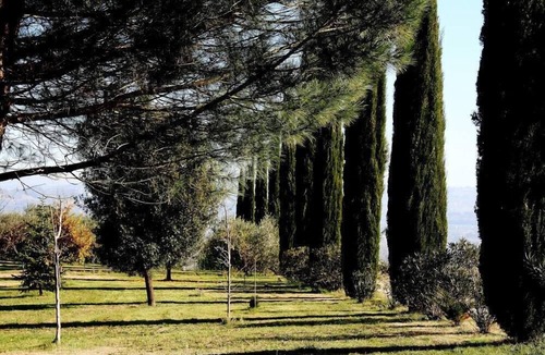 Fratta Todina House | best dependance in old building