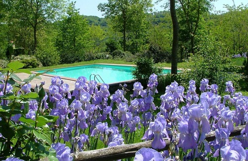 Proceno Apartment | Bezaubernde Wohnung im Schloss mit Schwimmbad by Interhome
