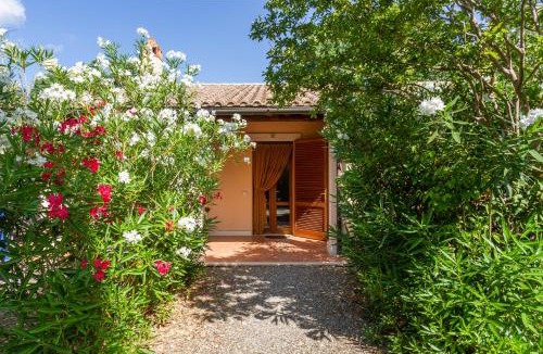Grosseto House | Bilo Erica