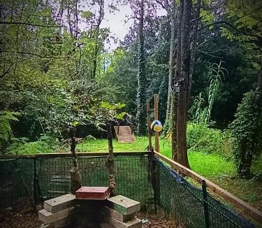 San Giorgio a Liri Other | Boungalow con piscina e parco di 4000mq