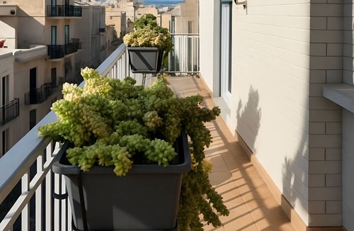 Brindisi Histotic Center Apartment | Brindisi's finest luxury apartment