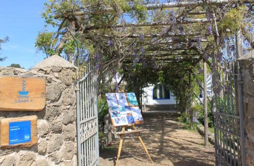 Ventotene Apartment | Calanave 10
