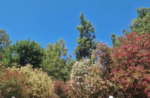 Rossano Other | Camping Pitagora