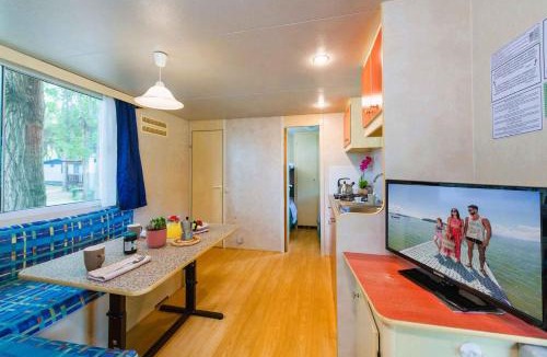 Tuoro sul Trasimeno Resort | Camping Punta Navaccia am Trasimeno See 24274