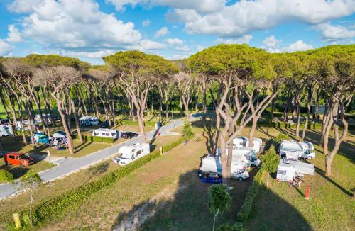 Zona XXXIV Casal Palocco Other | Camping Village Roma Capitol