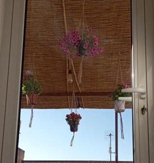 Fasano Bed & Breakfast | Casa Antica