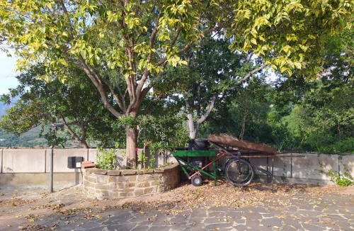 Ogliastro Cilento Apartment | Casa Cilento - Appartamento per locazione turistica