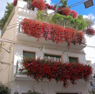 Altamura Bed & Breakfast | Casa Farella B&B in SUITES Apartments and Terrace Altamura x Matera